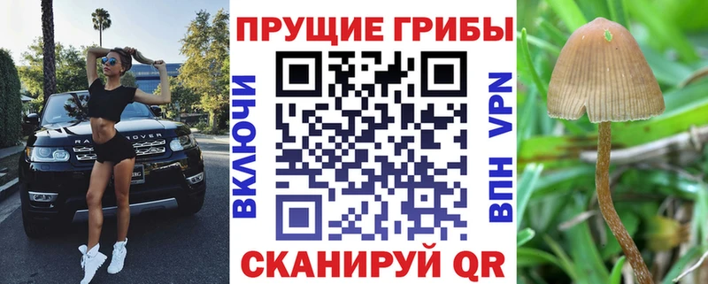 OMG ТОР  Избербаш  Псилоцибиновые грибы MAGIC MUSHROOMS  магазин   